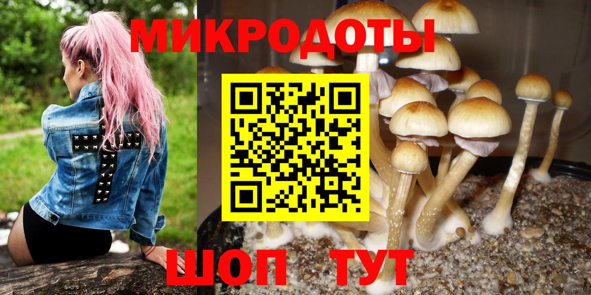 Холмск  Псилоцибиновые грибы мицелий  Вход с VPN 
