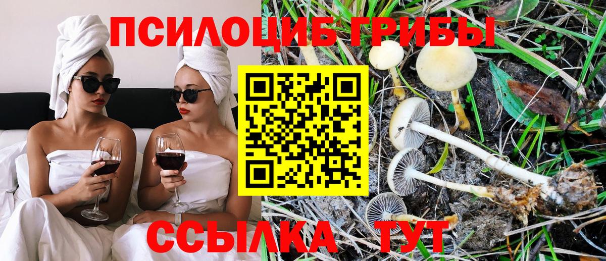 Галлюциногенные грибы мицелий Холмск